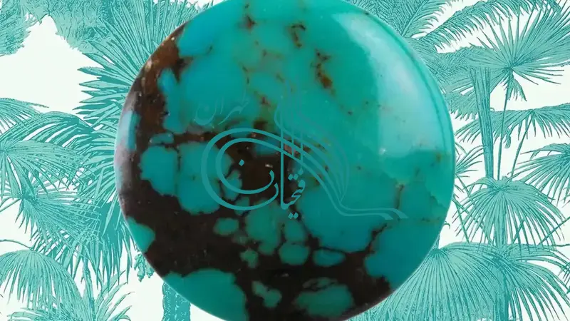 فیروزه شجری چیست؟